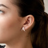 Aretes Delta
