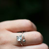 Anillo Lirón aguamarina