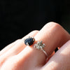 Anillo Camus pirita & turmalina negra