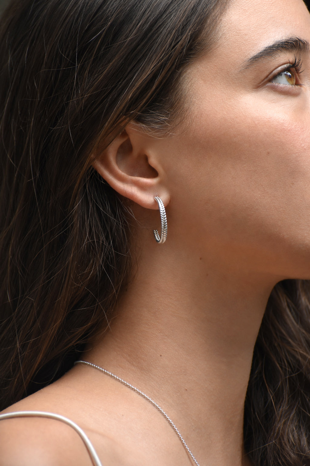 Aretes Aries - Gallery 1