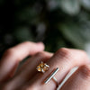 Anillo Otaro citrino